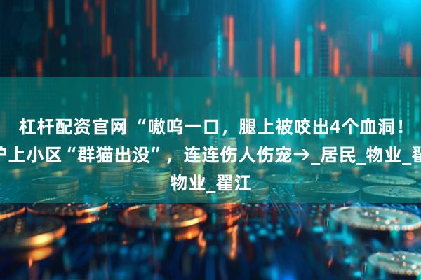 杠杆配资官网 “嗷呜一口，腿上被咬出4个血洞！”沪上小区“群猫出没”，连连伤人伤宠→_居民_物业_翟江