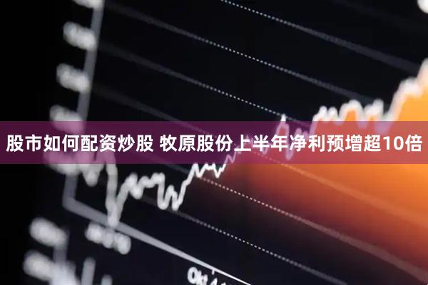 股市如何配资炒股 牧原股份上半年净利预增超10倍